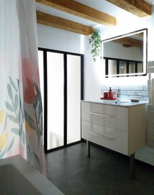 Le Paisible - Gare - Duplex - Garage Prive - Netflix Apartment Grenoble Ngoại thất bức ảnh
