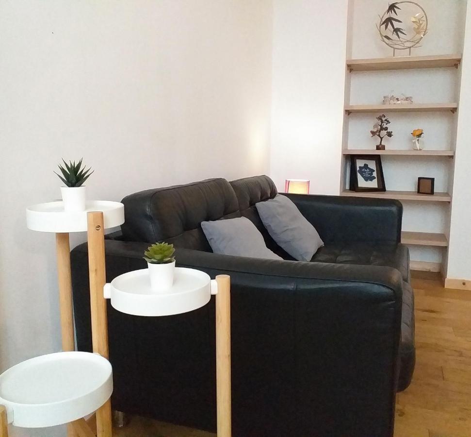 Le Paisible - Gare - Duplex - Garage Prive - Netflix Apartment Grenoble Ngoại thất bức ảnh